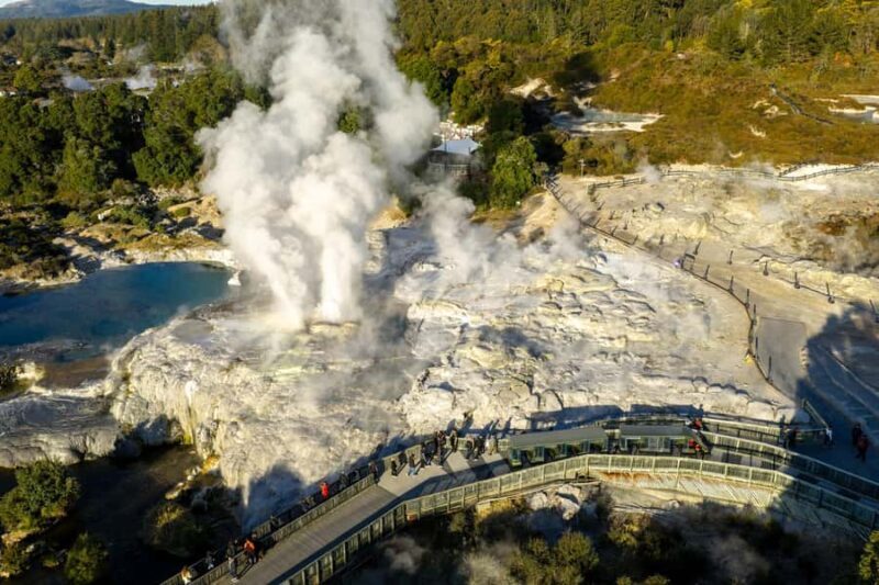 Te Puia: Te R Guided Day Tour + Haka Cultural Performance - Cultural Performance: Haka and More