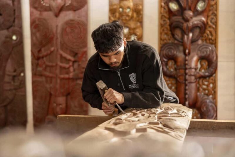 Te Puia: Te R Guided Day Tour + Haka Cultural Performance - Value and Price