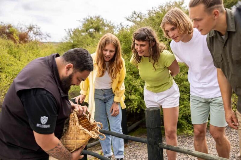 Te Puia: Tuku Iho Trail with Cultural Show - Key Points