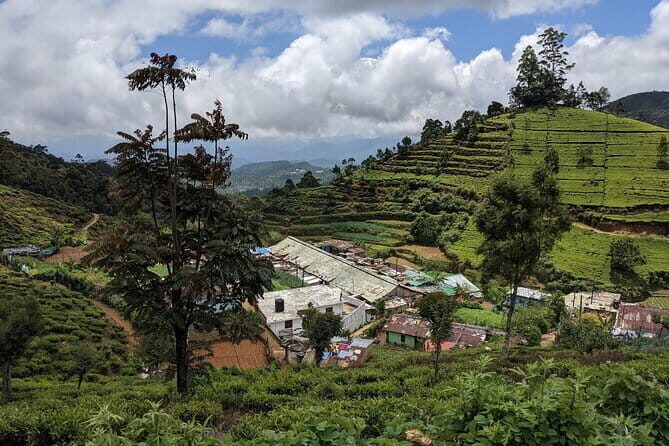 Tea Adventure- Haputale, Tea Plantation Tour with Lunch - The Sum Up: Is It Worth It?