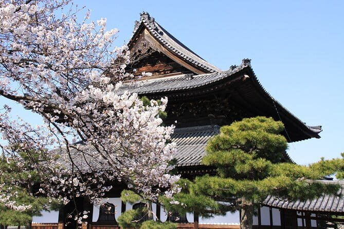 Tea Ceremony Experience & Nishiki Market Walking Tour - Key Points