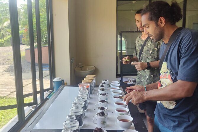 Tea Factory Tour with Tea Tasting Session - The Sum Up: Is the Semidale Tea Factory Tour Worth It?