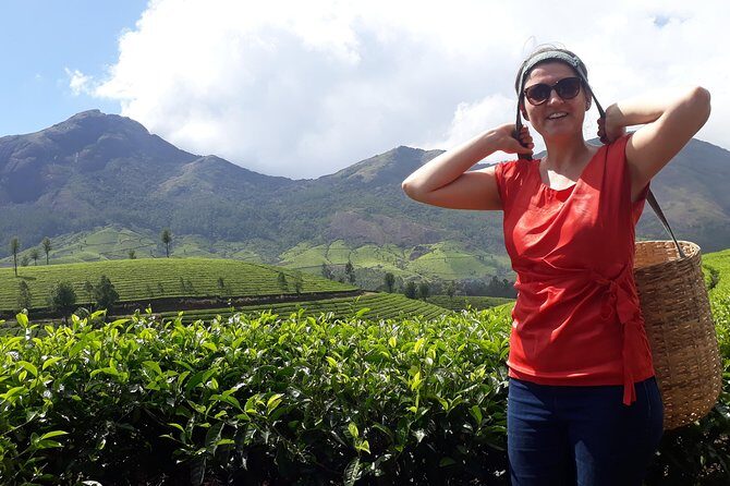 Tea Farm Tourism - An Informative Journey Through Munnar’s Tea Plantations