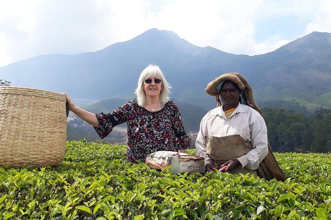 Tea Farm Tourism - The Sum Up