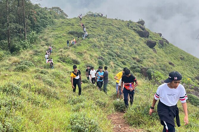 Tea Plantation, Grass Land and Mountain Hiking in Munnar - Exploring Munnar: Tea Plantations, Grasslands, and Mountain Trails in a 4-Hour Adventure