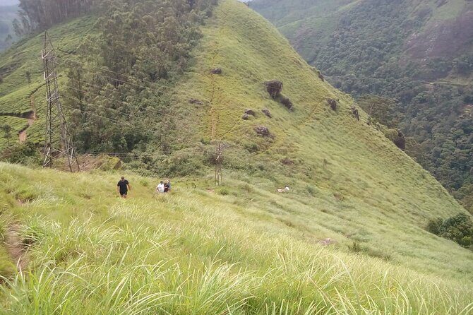 Tea Plantation, Grass Land and Mountain Hiking in Munnar - Who Will Appreciate This Tour?
