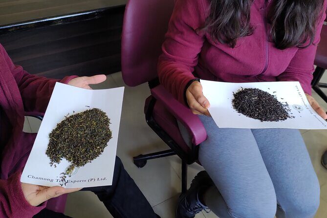 Tea Pluckers' Day - Practical Aspects: What You Need to Know