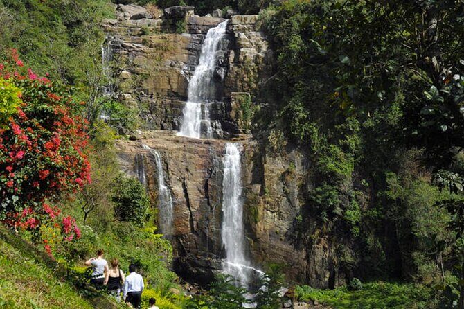 Tea Plucking and Tea Factory Visit from Nuwara Eliya. - Who Would Love This Tour?