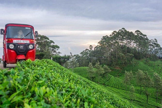 Tea Tasting in Nuwara Eliya - Analyzing the value: is this tour worth it?