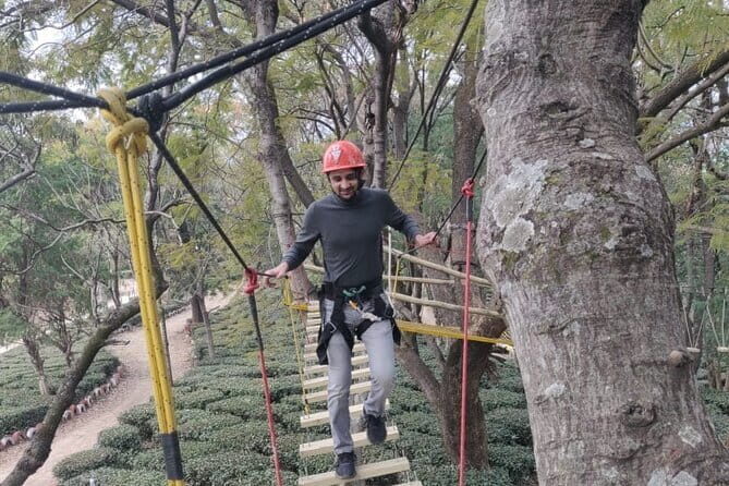 Tea Top Adventure Activities - Why This Experience Is Worth It
