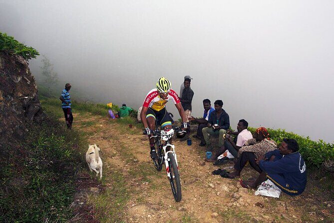 Tea Trails by Bicycle from Nuwara Eliya - FAQ