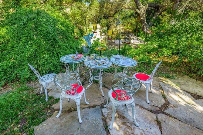 Tea with hummingbirds at a Hummingbird Sanctuary - Why the Price of $75 Offers Good Value