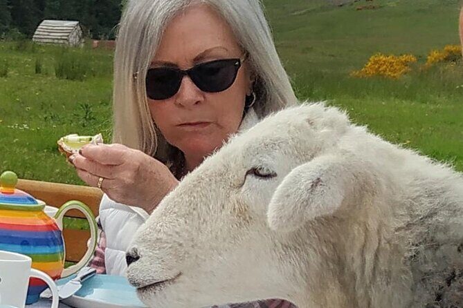 Tea with Naughty Sheep - Who Will Love This Experience?