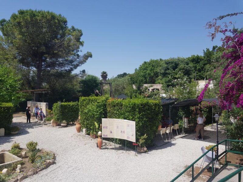 Tecnoparco Archimede Museum Exhibition Ticket - Who Will Love This Experience?