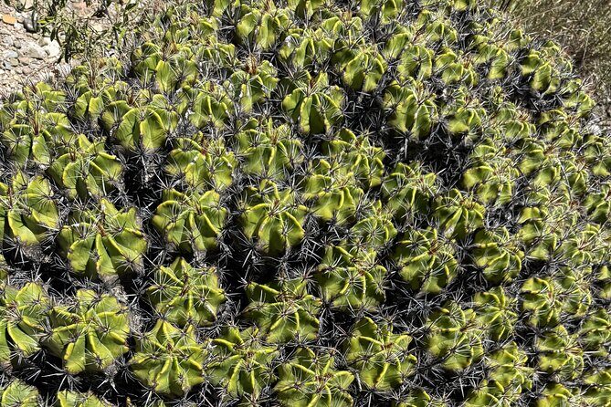 Tehucan Day Tour and Biosphere Reserve - Key Points