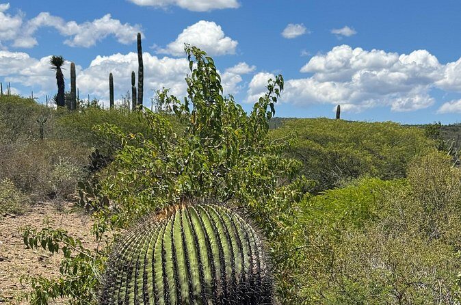 Tehucan Day Tour and Biosphere Reserve - FAQ