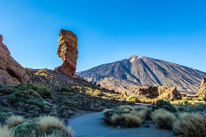 Teide-Icod-Garachico-Masca (Most popular bus tour in Tenerife) - Value for Money