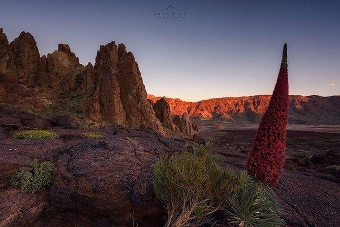 Teide-Icod-Garachico-Masca (Most popular bus tour in Tenerife) - The Sum Up