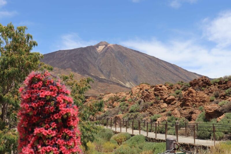 Teide National Park and Vilaflor - Final Stops and Return