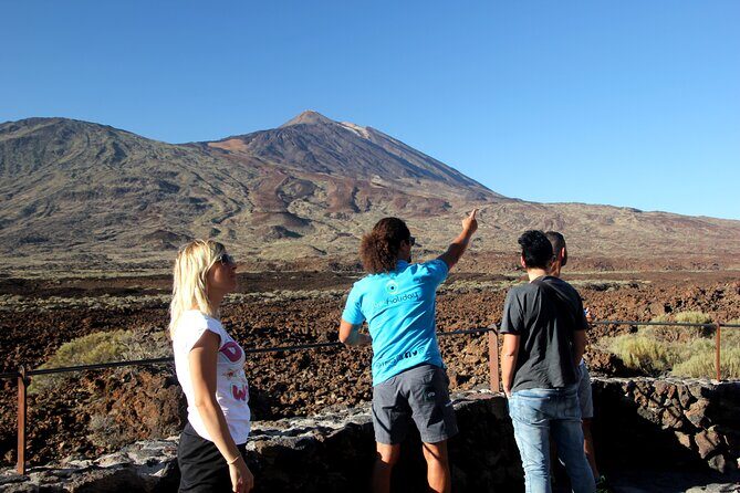 Teide National Park Exclusive and private Tour - The Experience from Reviews and Real Insights