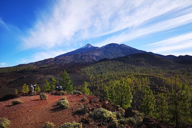 Teide National Park for smaller groups - What to Expect During the Tour