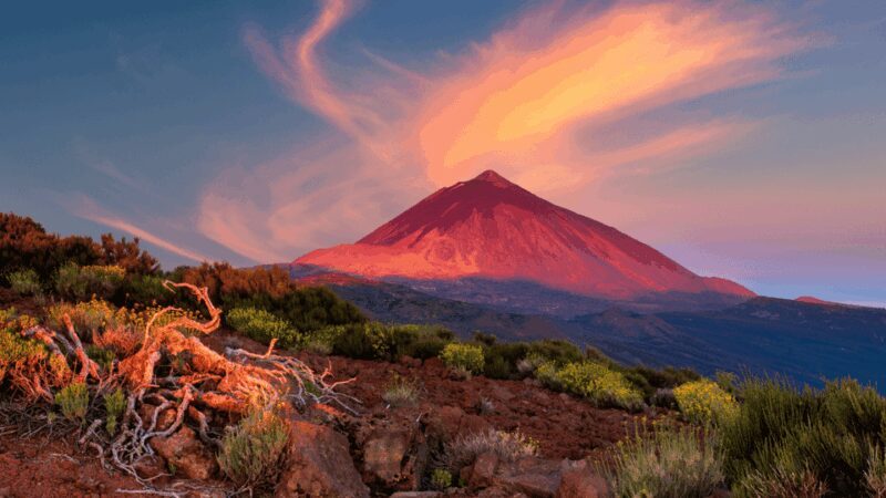 Teide National Park: Landscapes and Viewpoints Private Tour - Final Thoughts
