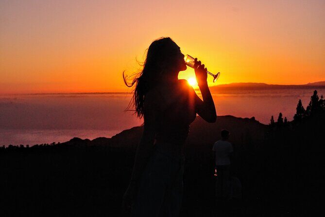 Teide National Park Sunset & Stargazing with Dinner (Star Safari) - Final Thoughts