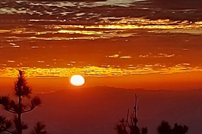 TEIDE NIGHT, Stargazing Bus Tour, Meal & Drinks included! - The Sum Up