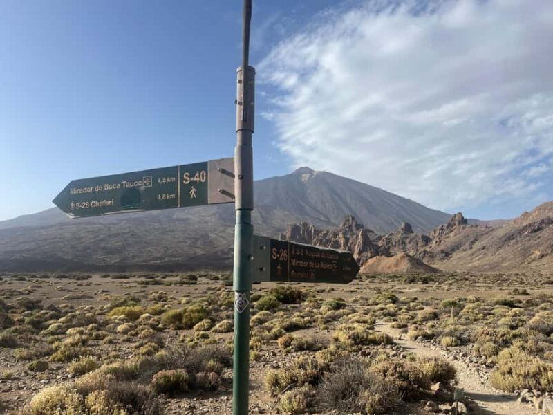 Teide & Secret Volcanoes  Tour Tenerife with a German Guide (8h) - Who Might Want to Consider Other Options?