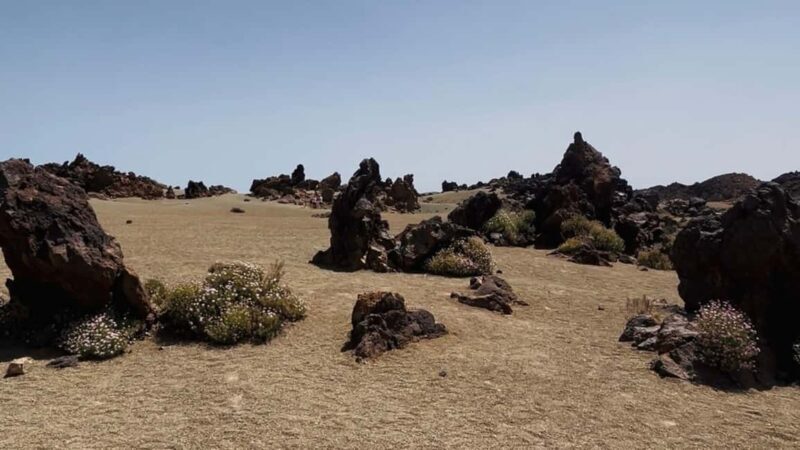 Teide & Secret Volcanoes  Tour Tenerife with a German Guide (8h) - Final Thoughts: Is It Worth It?