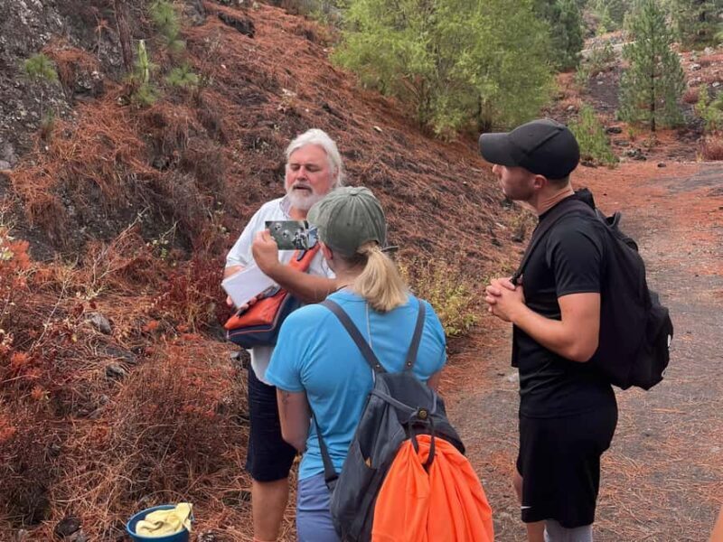 Teide & Secret Volcanoes  Tour Tenerife with a German Guide (8h) - FAQs