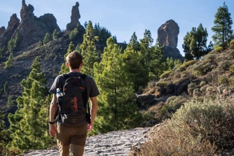 Tejeda: Roque Nublo Base Camp Xperience: Hike, Picnic & More - Key Points