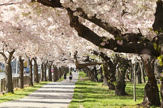 Tekapo to Christchurch Small-Group Tour (one-way) - A Practical Look at the Tekapo to Christchurch Small-Group Tour