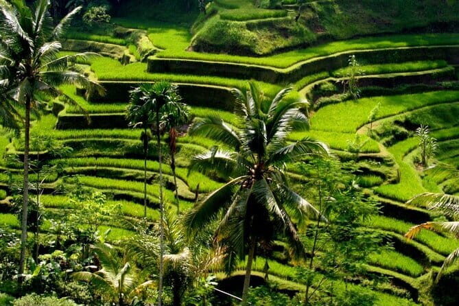Telaga Waja Rafting and Shopping Tour Packages - FAQs