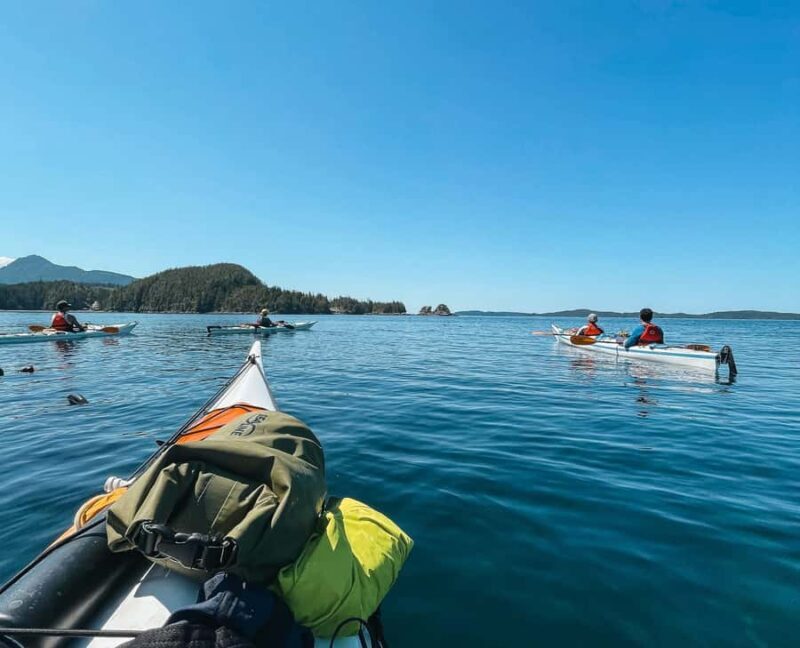 Telegraph Cove: 2-Hour Day or Evening Kayaking Tour - Wildlife and Scenery Encounters