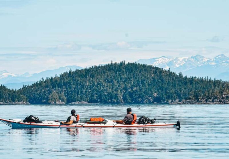 Telegraph Cove: 2-Hour Day or Evening Kayaking Tour - Practical Details: Logistics and Value