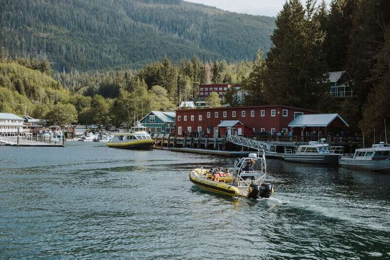 Telegraph Cove: 3-Hour Whale Watching Tour in a Zodiac Boat - The Itinerary: What to Expect on Your Whale Watching Adventure