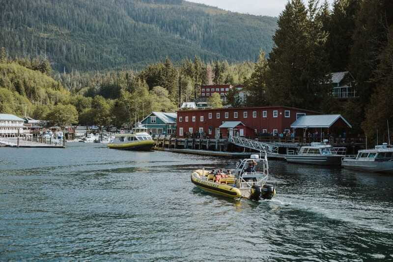 Telegraph Cove: 3-Hour Whale Watching Tour in a Zodiac Boat - Who Will Love This Tour?