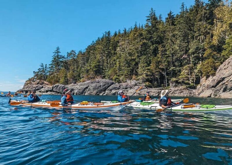 Telegraph Cove: Full-Day Trip Kayaking Tour - Key Points