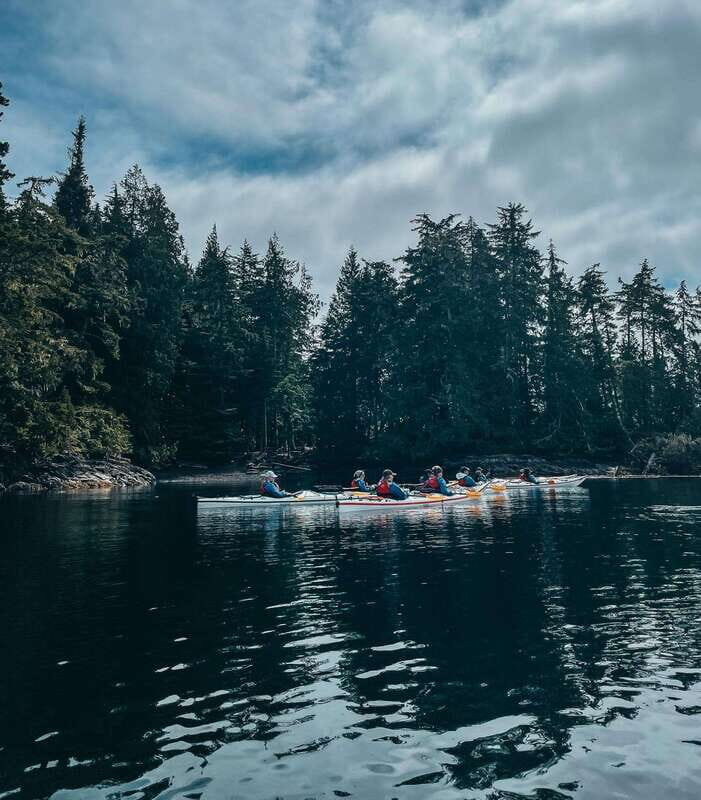 Telegraph Cove: Half-Day Kayaking Tour - An In-Depth Look at the Telegraph Cove Kayaking Experience