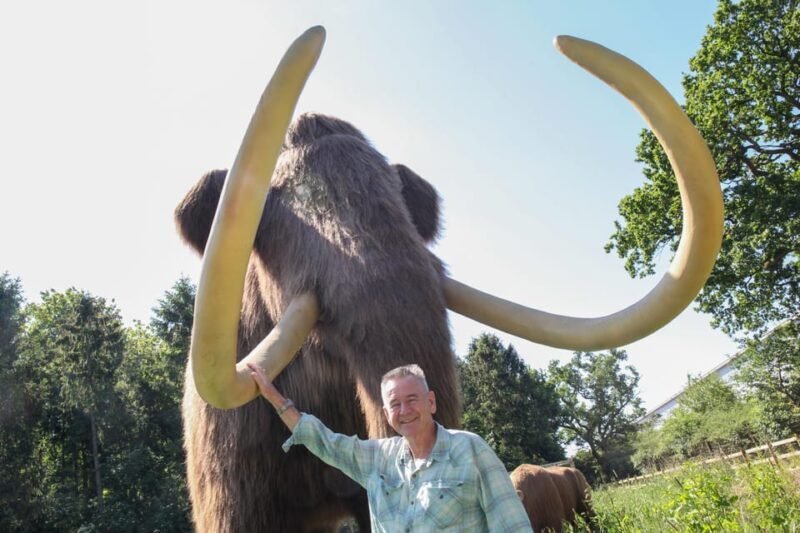 TELFORD: Hoo Zoo and Dinosaur World Entry Ticket - The Sum Up