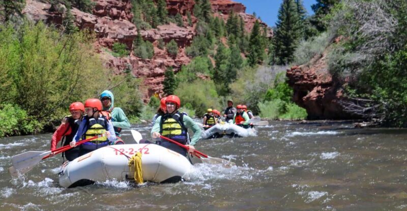 Telluride 1 Day Rafting Trip with Lunch - San Miguel River - Key Points