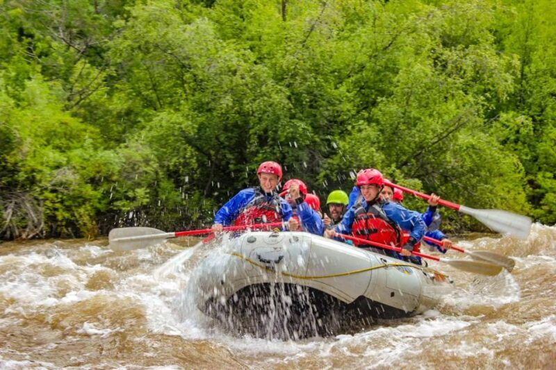 Telluride 1 Day Rafting Trip with Lunch - San Miguel River - The Sum Up