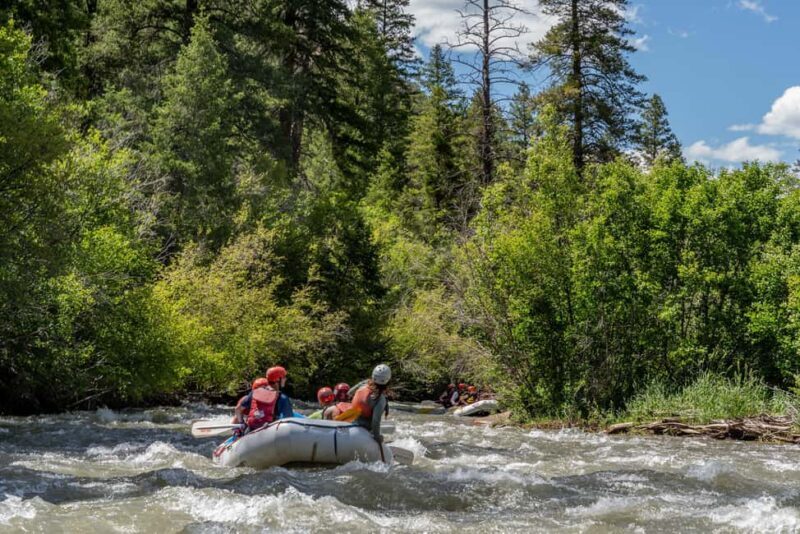 Telluride 1 Day Rafting Trip with Lunch - San Miguel River - Key Points