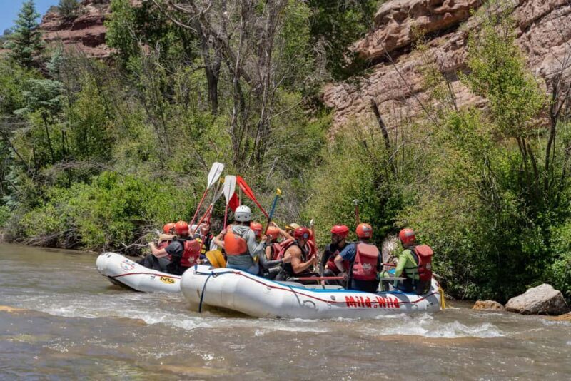 Telluride 1 Day Rafting Trip with Lunch - San Miguel River - Who Will Love This Trip?