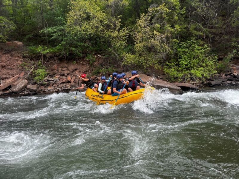 Telluride: Half-Day Rafting on the San Miguel River - Final Thoughts: Who Should Consider This Tour?