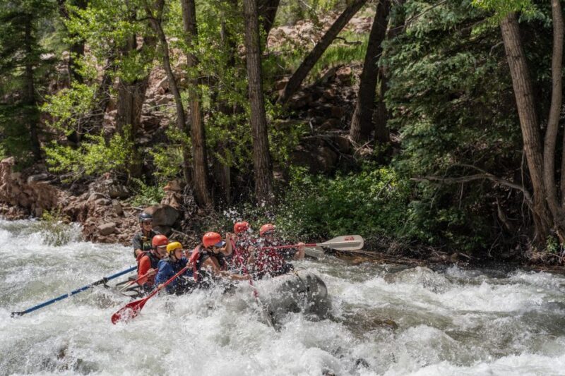 Telluride Morning Half Day Rafting Trip - San Miguel River - A Deep Dive into the San Miguel River Rafting Experience
