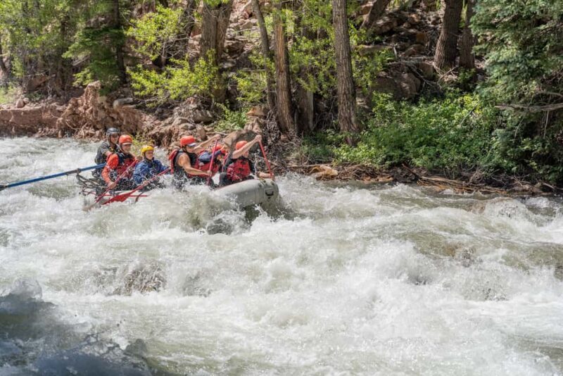 Telluride Morning Half Day Rafting Trip - San Miguel River - The Value of the Experience