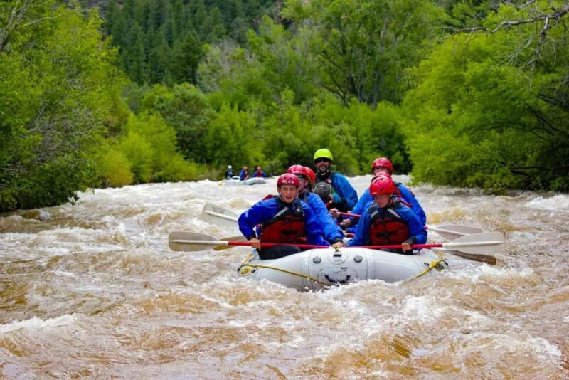 Telluride Morning Half Day Rafting Trip - San Miguel River - A Closer Look at the Itinerary