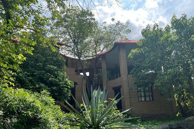 Temazcal Ceremony in Tepoztlan Healing and Tradition - What Travelers Say